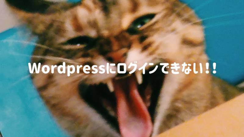 WordPressにログインできない時の解決策