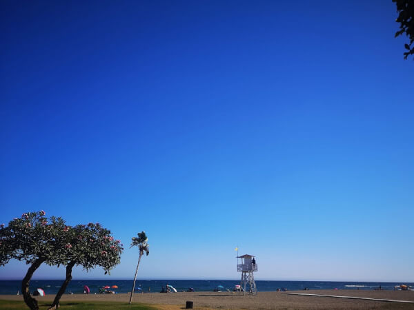 テレワーク移住 マドリードからマラガへテレワーク移住 猫と私とseo テレワーク移住 マドリードからマラガへテレワーク移住 猫と私とseo